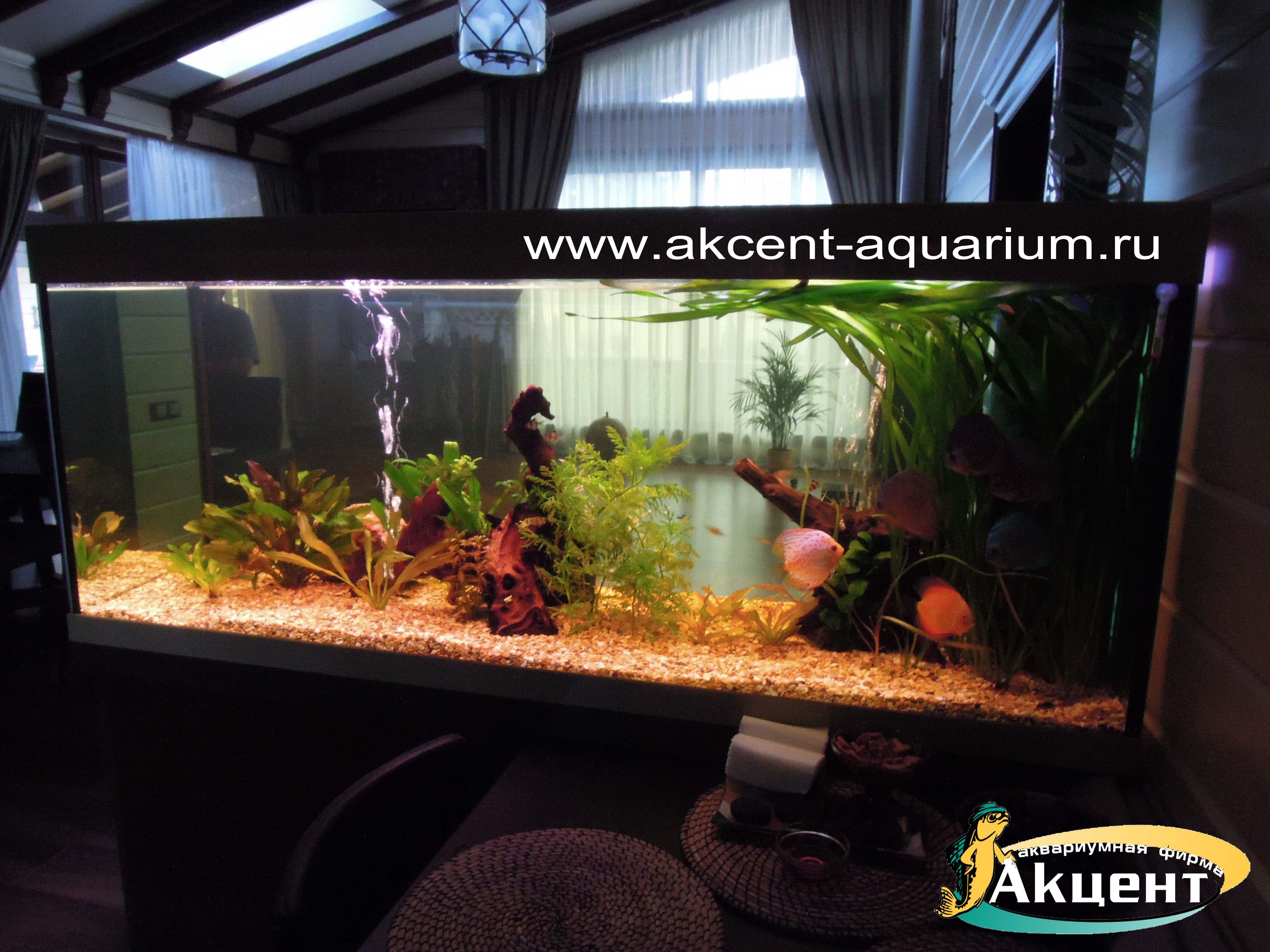 Акцент-аквариум, аквариум просмотровый 600 литров, с живыми растениями